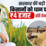Farmers will get a bonus of Rs 4000 per hectare on paddy
