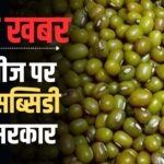 किसानों के लिए राहत भरी खबर: मूंग की खेती पर 75% सब्सिडी का तोहफा