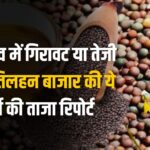 Latest report of mustard prices 4 march 2025