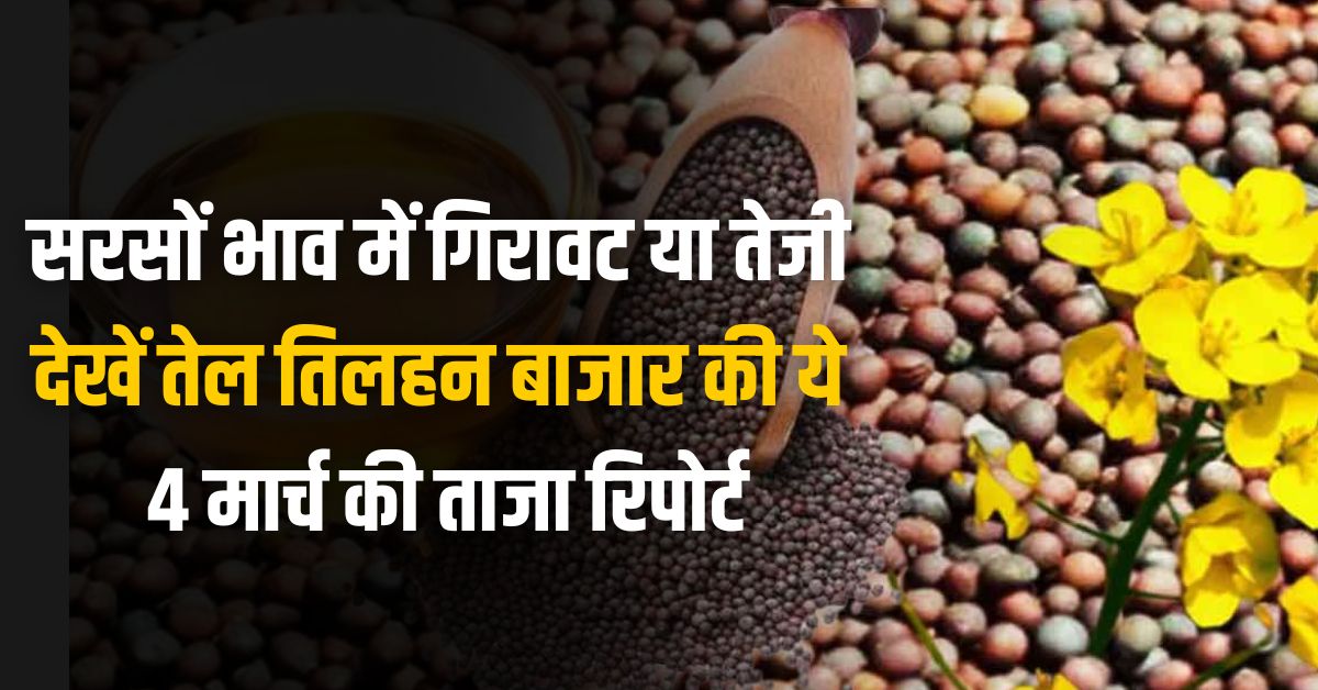 Latest report of mustard prices 4 march 2025
