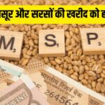 चना, सरसों व मसूर की MSP खरीद को मिली हरी झंडी, जाने कितना है खरीद लक्ष्य