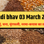 Mandi bhav 03 March 2025