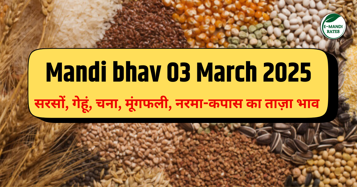 Mandi bhav 03 March 2025