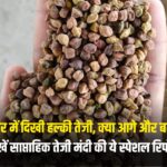 चना बाजार में दिखी हल्की तेजी, क्या आगे और बढ़ेंगे भाव? देखें साप्ताहिक रिपोर्ट