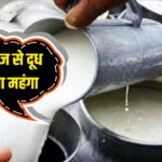 Milk Price Hike: मदर डेयरी ने दूध के दाम ₹2 तक बढ़ाए, जानिए नई कीमतें