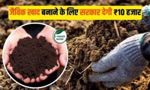Farmer Scheme: जैविक खाद के लिए के लिए सरकार देगी 50% तक का अनुदान, जानिए कैसे उठाएं योजना का लाभ!