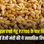 Wheat Price: क्या इस हफ्ते गेहूं ₹2700 के पार जाएगा? देखें ये साप्ताहिक रिपोर्ट