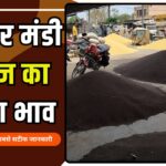 nohar mandi bhav aaj ka