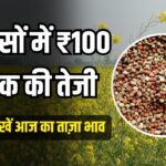 सरसों भाव में ₹100 तक की तेजी, कच्ची घानी तेल ₹1360 के पार, ये रहे आज के ताजा भाव