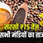 सरसों में ₹75 की तेजी, तेल और खल में भी उछाल, देखें ! आज के ताजा दाम