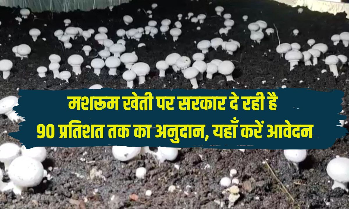 mushroom farming subsidy in bihar