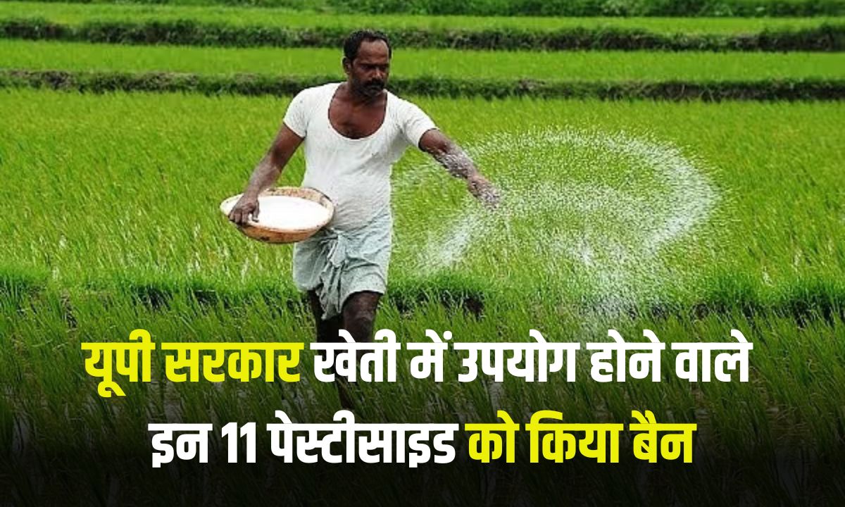 UP government banned these 11 pesticides used in farming, see the list