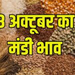 नरमा कपास मूंग मोठ ग्वार फसलों के भाव में तेजी या मंदी, देखें लेटेस्ट दाम