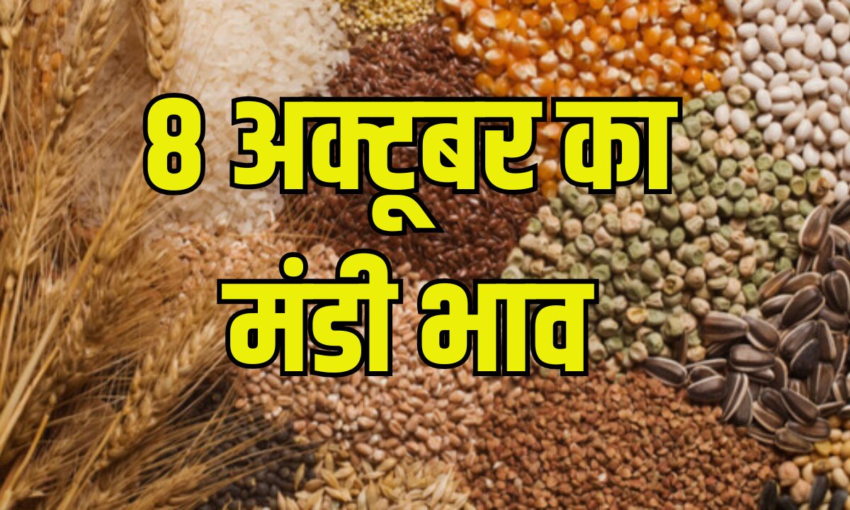 8 october 2025 ka mandi bhav