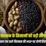 राजस्थान में MSP पर मूंग, मूंगफली, सोयाबीन, उड़द की 24 नवंबर से होगी खरीद, पंजीयन प्रक्रिया और बायोमेट्रिक सत्यापन अनिवार्य!
