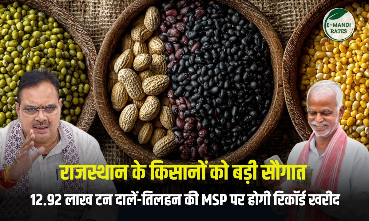 MSP procurement of moong, groundnut, soybean and urad in Rajasthan