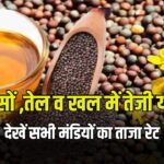 सरसों बाजार में दबाव: तेल और खल टूटे, कई मंडियों में 50 रुपये तक गिरावट, देखें आज के ताज़ा भाव