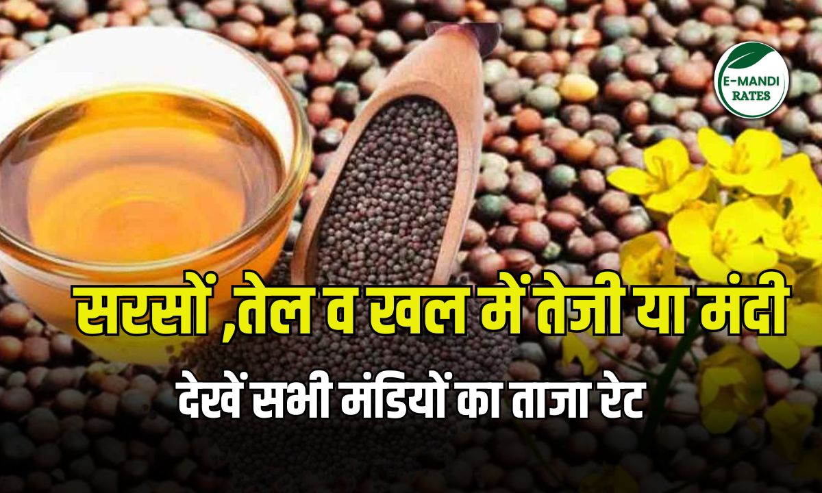 Mustard Price 21 November