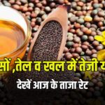 Mustard Rate Today: सरसों, तेल और खल में गिरावट, ये रहे आज के ताज़ा रेट