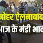 नोहर ऐलनाबाद मंडी भाव 25 नवंबर- ग्वार, नरमा, मूंग, मोठ, मूँगफली समेत फसलों के रेट