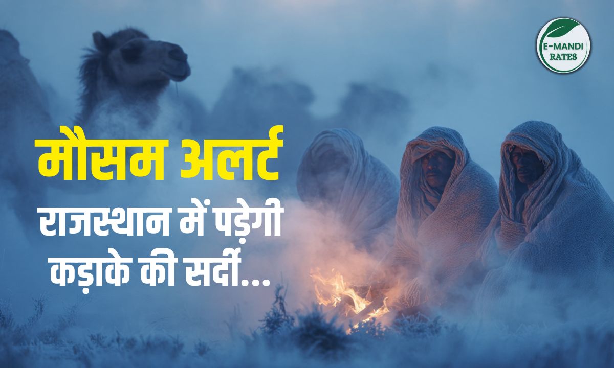 Rajasthan Weather Update november 2025