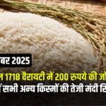 Rice Price Today : आज चावल 1718 वैरायटी में 200 रुपये की जोरदार तेज़ी, देखें सभी अन्य किस्मों के रेट