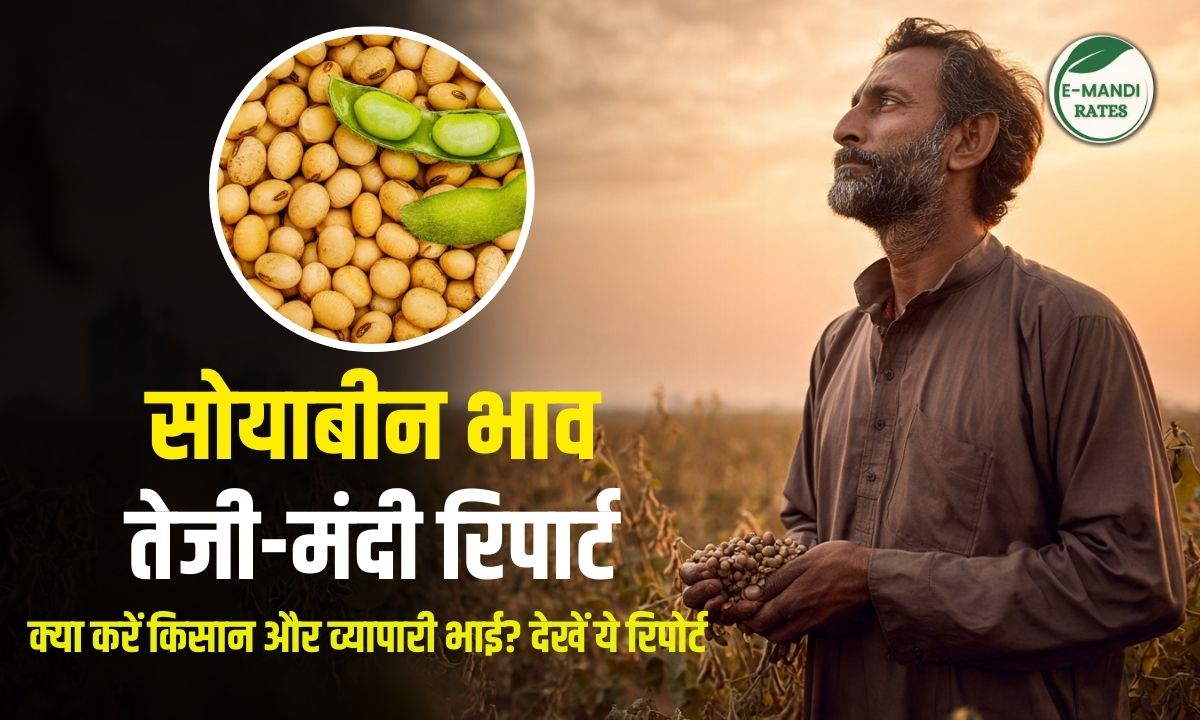 Soybean Market Price