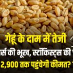 गेहूं के दाम में तेजी: मिलर्स की भूख, स्टॉकिस्ट्स की चाल, क्या 2,900 तक पहुंचेगी कीमत? जाने