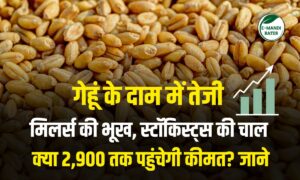 गेहूं के दाम में तेजी: मिलर्स की भूख, स्टॉकिस्ट्स की चाल, क्या 2,900 तक पहुंचेगी कीमत? जाने