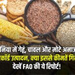 दुनिया में गेहूं, चावल और मोटे अनाज का रिकॉर्ड उत्पादन, क्या इससे कीमतें गिरेगी? देखें ये FAO रिपोर्ट!