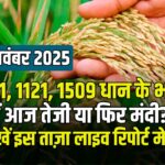 आज के ताजा धान भाव – 27 नवम्बर 2025 | 1401, 1121, 1509, 1718 इत्यादि किस्मों के रेट की पूरी रिपोर्ट जारी
