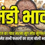 Mandi Bhav- ग्वार, मूंग, मोठ, बाजरी, मूंगफ़ली, तिल, नरमा-कपास भाव में तेजी-मंदी की रिपोर्ट