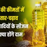 खाद्य तेल बाजार अपडेट: पाम ऑयल ने दिखाई तेजी लेकिन स्टॉक का दबाव-आगे क्या होगा? पढ़े ये रिपोर्ट