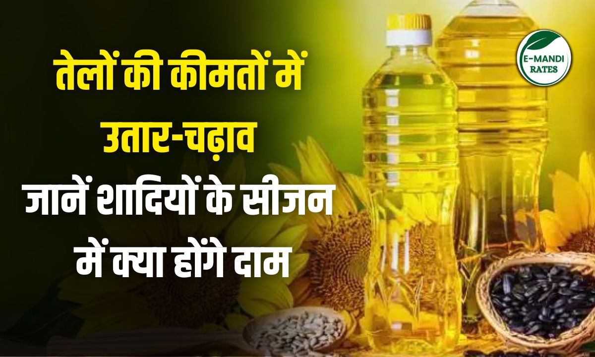 edible oil market news november 2025