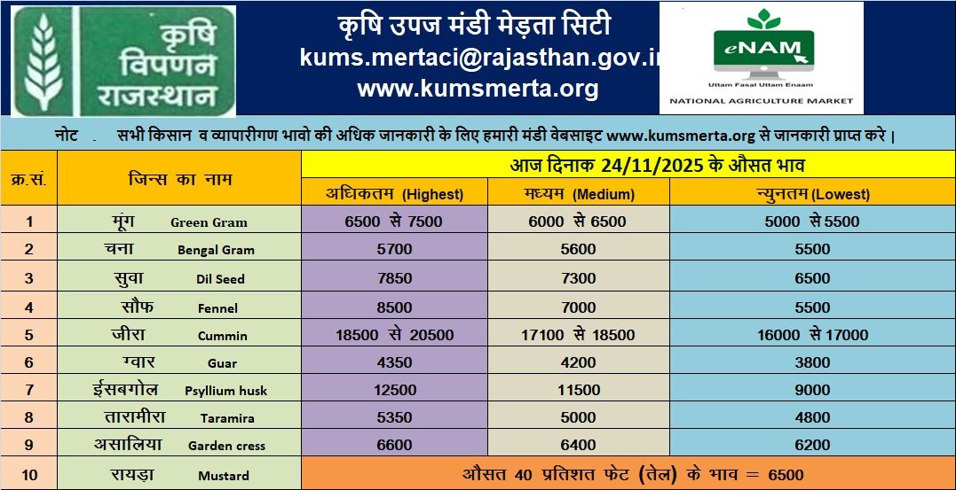 merta mandi bhav 24 november