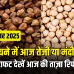 आज का चना भाव – 4 दिसंबर 2025 | चने के रेट आज तेजी या मंदी, देखें ये रिपोर्ट