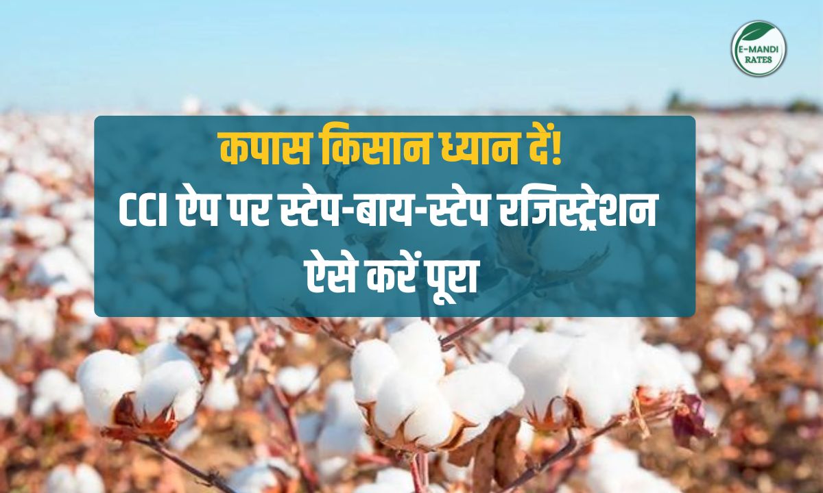 CCI Kapas Kisan app registration