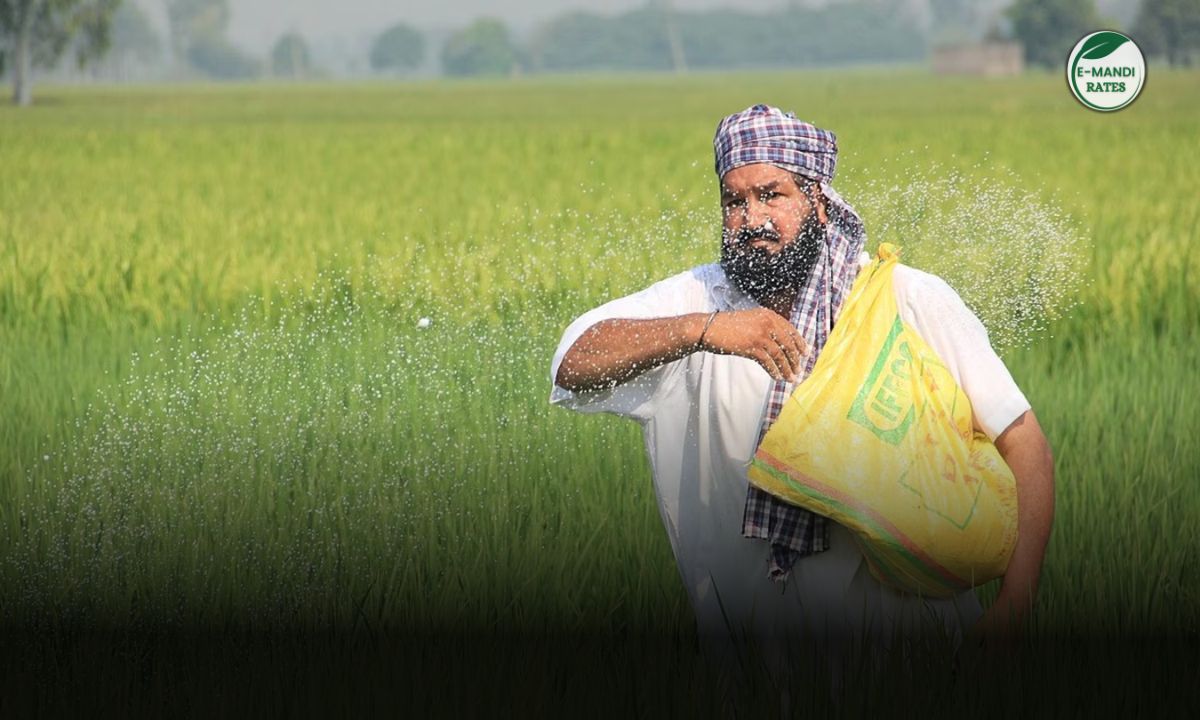 Demand for fertilizers has increased