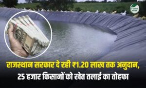 खेत तलाई योजना 2025: 90% सब्सिडी पर बनवाएं तालाब, जानिए कब और कैसे मिलेगा पैसा