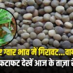 ग्वार बाजार में बड़ा उलटफेर! हाजिर में गिरावट, वायदा में तेजी, फटाफट देखें आज के ताज़ा रेट | Guar bhav 22 dec 2025