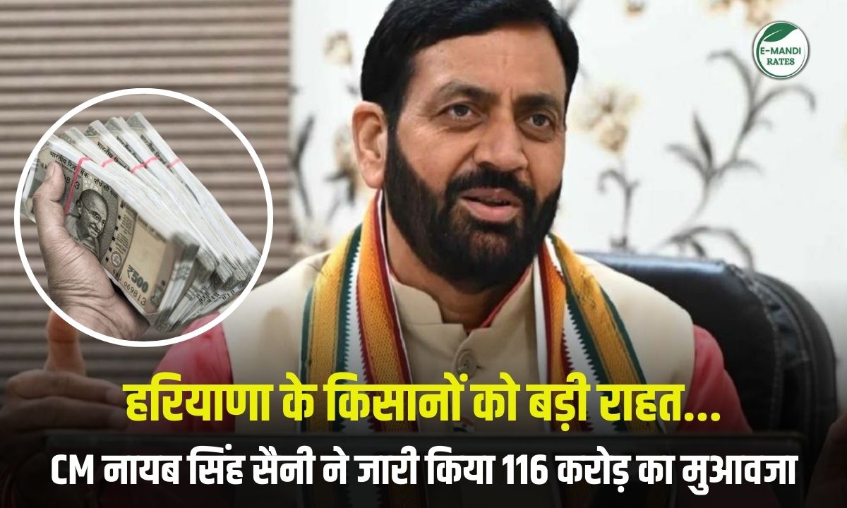 Haryana Fasal Muavja News