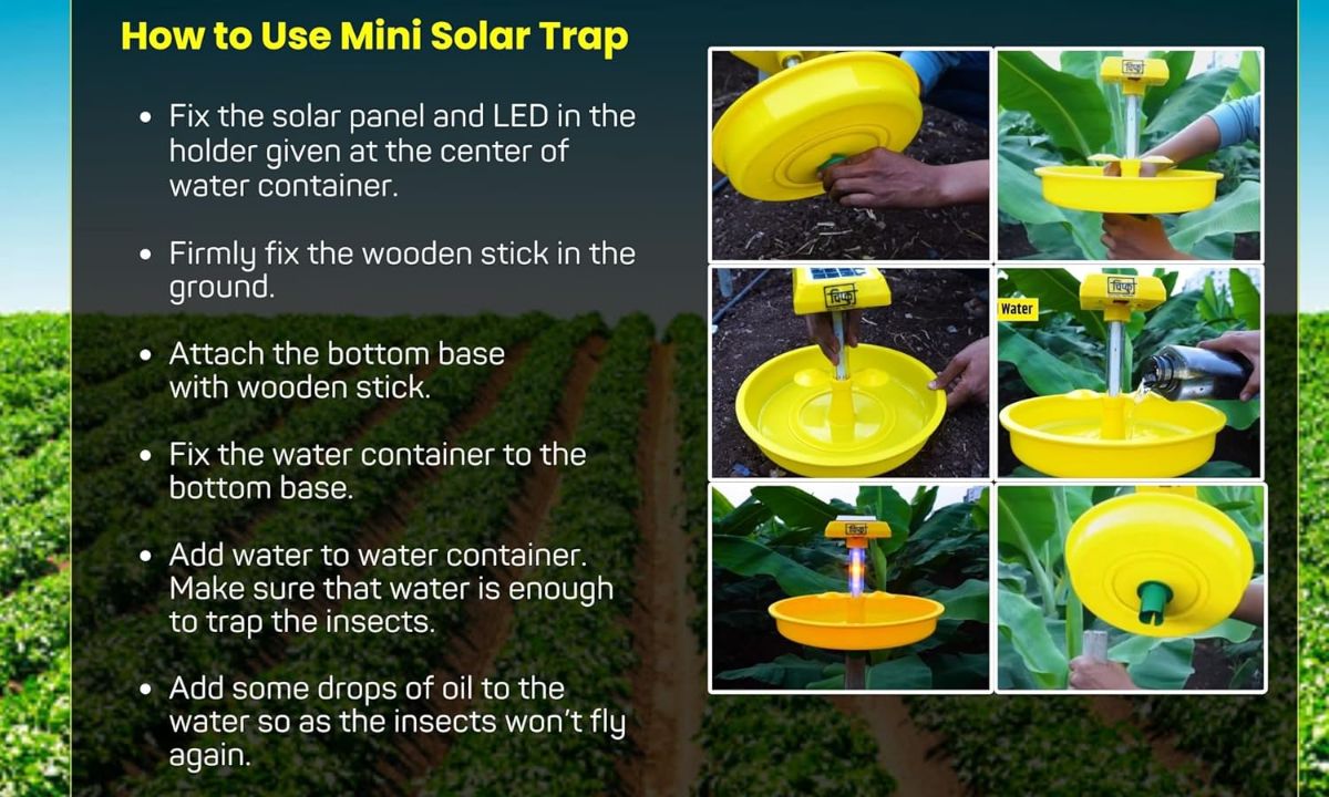 How To Use Chipku Mini Solar Insect Trap