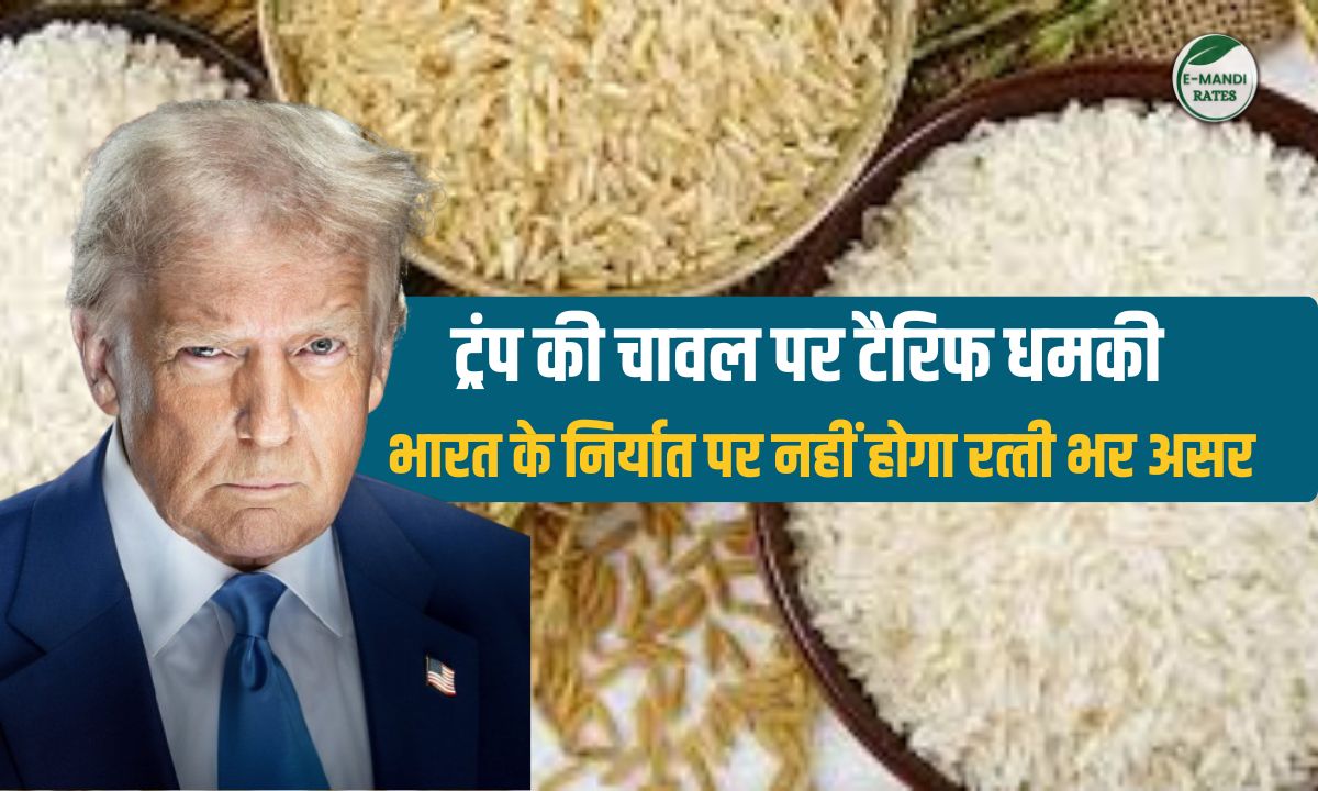 India Rice Export Safe