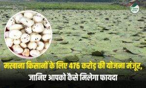 मोदी सरकार का बड़ा तोहफा! मखाना बनेगा ग्लोबल ब्रांड, केंद्र ने दी 476 करोड़ की मंजूरी, ये है पूरा प्लान