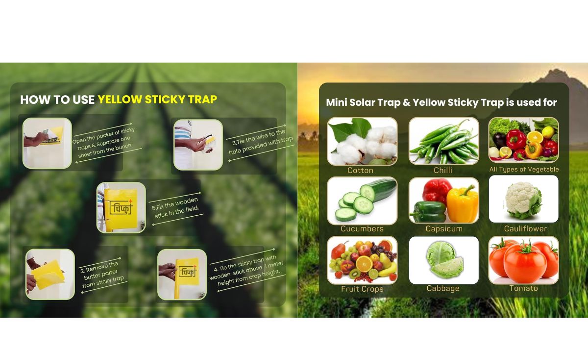 Mini Solar Insect Trap