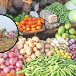 vegetable prices:- जयपुर मंडी में सब्जियां हुईं सस्ती, किसे होगा फायदा? जाने! आज के सब्जियों के नए रेट