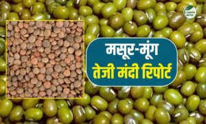 Pulses Market- मसूर पर आयात का झटका, मूंग में स्टॉक प्रेशर खत्म, कनाडा आयात और चीन निर्यात ने बदला खेल
