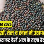 आज का सरसों भाव – 4 दिसंबर 2025 | सरसों, तेल व खल के रेट तेजी या मंदी, देखें ये रिपोर्ट