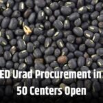 Urad procurement : यूपी के किसानों को उड़द का NAFED से मिलेगा ₹7800/क्विंटल भाव, 50 केंद्र खुलेंगे