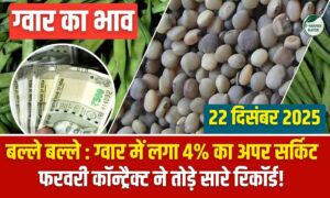 NCDEX Guar Live: ग्वार में लगा 4% का अपर सर्किट, फरवरी कॉन्ट्रैक्ट ने तोड़े सारे रिकॉर्ड!